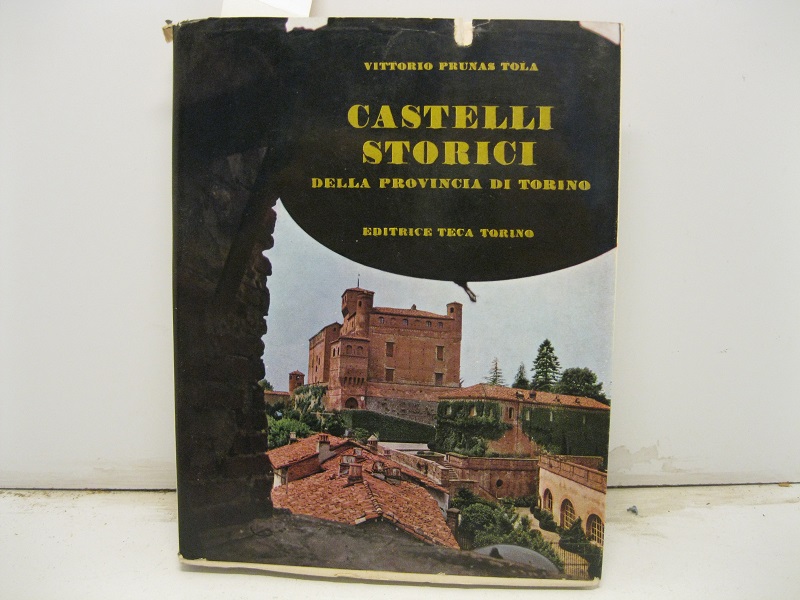 Castelli storici della provincia di Torino.